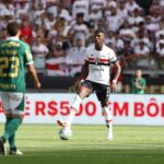 Arboleda São Paulo Palmeiras